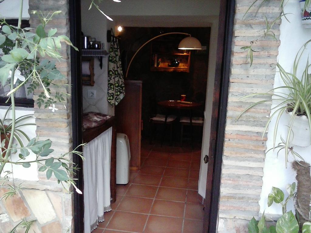 Casas Andrea La Cueva Daire Vejer de la Frontera Oda fotoğraf